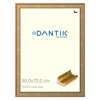DANTIK rámeček 50x70 | TOOTH malá zlatá (Plexi Čiré)