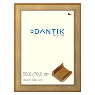 DANTIK rámeček 50x70 | TOOTH zlatá (Plexi Čiré)