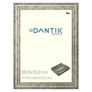 DANTIK rámeček 50x70 | TRITON široký stříbrný (Plexi Čiré)