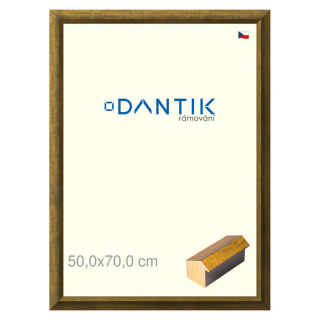 DANTIK rámeček 50x70 | Forgia Gold (Plexi Čiré)