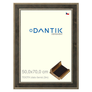 DANTIK rámeček 50x70 | TOOTH zlato černá (Plexi Čiré)
