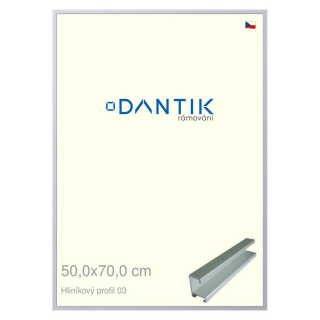 DANTIK rámeček 50x70 | ALU profil 7003 Stříbrná matná (Plexi Čiré)