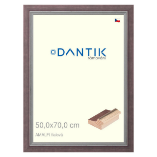 DANTIK rámeček 50x70 | AMALFI fialová (Plexi Čiré)