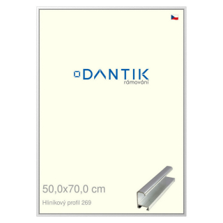 DANTIK rámeček 50x70 | ALU profil 7269 Stříbrná lesklá (Plexi Čiré)