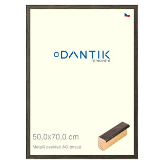 DANTIK rámeček 50x70 | Metalli oidati AG tmavá (Plexi Čiré)