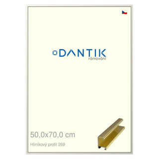 DANTIK rámeček 50x70 | ALU profil 7269 Zlatá lesklá (Plexi Čiré)