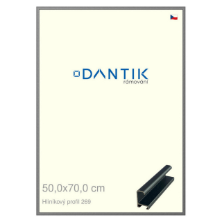 DANTIK rámeček 50x70 | ALU profil 7269 Platina matná (Plexi Čiré)
