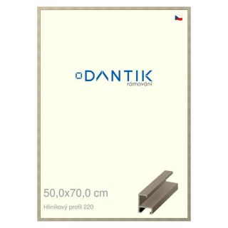 DANTIK rámeček 50x70 | ALU profil 6220 champagne (Plexi Čiré)
