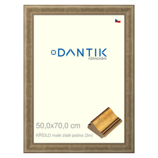 DANTIK rámeček 50x70 | KŘÍDLO malé zlaté patina (Plexi Čiré)