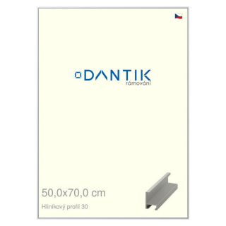 DANTIK rámeček 50x70 | ALU profil 6030 Stříbrná matná (Plexi Čiré)