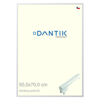 DANTIK rámeček 50x70 | ALU profil 7003 Bílá matná (Plexi Čiré)
