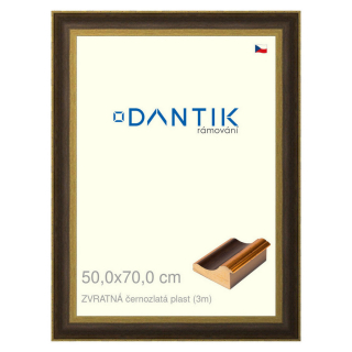 DANTIK rámeček 50x70 | ZVRATNÁ černozlatá plast (Plexi Čiré)