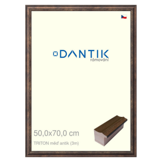 DANTIK rámeček 50x70 | TRITON měď antik (Plexi Čiré)