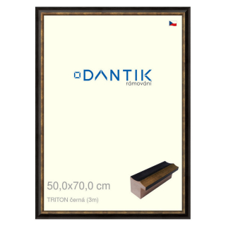 DANTIK rámeček 50x70 | TRITON černá (Plexi Čiré)