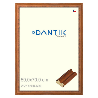 DANTIK rámeček 50x70 | LYON hnědá (Plexi Čiré)