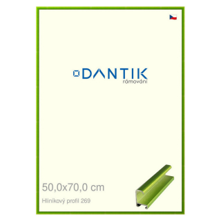 DANTIK rámeček 50x70 | ALU profil 7269 Zelená Smaragd broušená (Plexi Čiré)