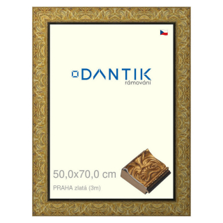 DANTIK rámeček 50x70 | PRAHA zlatá (Plexi Čiré)