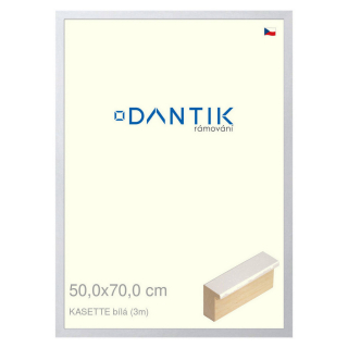 DANTIK rámeček 50x70 | KASSETTE bílá (Plexi Čiré)