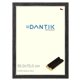 DANTIK rámeček 50x70 | LYON černá (Plexi Čiré)