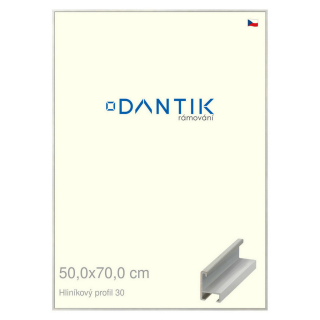 DANTIK rámeček 50x70 | ALU profil 6030 Dýha barevná šedá světlá (Plexi Čiré)