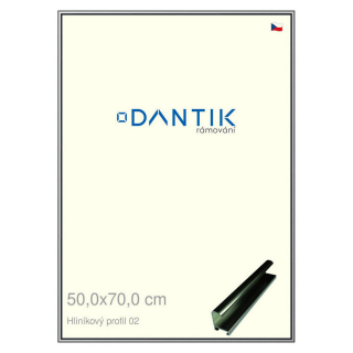 DANTIK rámeček 50x70 | ALU profil 7002 Šedá leská (Plexi Čiré)