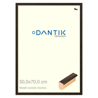 DANTIK rámeček 50x70 | Metalli oidati olověná (Plexi Čiré)