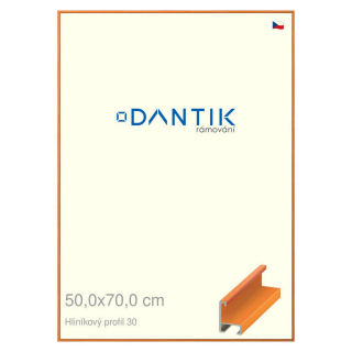 DANTIK rámeček 50x70 | ALU profil 6030 Dýha barevná oranžová (Plexi Čiré)