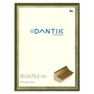 DANTIK rámeček 50x70 | Ferrosa zlatá (Plexi Čiré)
