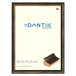 DANTIK rámeček 50x70 | Ferrosa bronzová (Plexi Čiré)