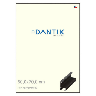 DANTIK rámeček 50x70 | ALU profil 6030 Dýha černá (Plexi Čiré)