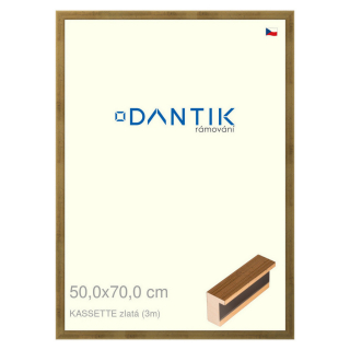 DANTIK rámeček 50x70 | KASSETTE zlatá (Plexi Čiré)
