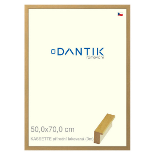 DANTIK rámeček 50x70 | KASSETTE přírodní lakovaná (Plexi Čiré)