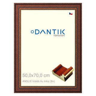 DANTIK rámeček 50x70 | ANGLIE hnědá Au linka (Plexi Čiré)