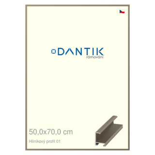 DANTIK rámeček 50x70 | ALU profil 6001 champagne (Plexi Čiré)