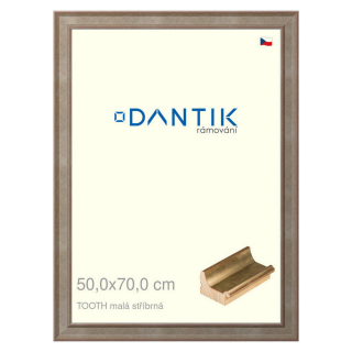 DANTIK rámeček 50x70 | TOOTH malá stříbrná (Plexi Čiré)