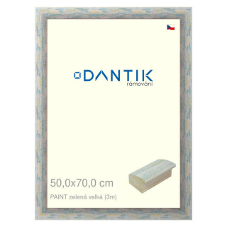 DANTIK rámeček 50x70 | PAINT zelená velká (Plexi Čiré)
