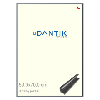 DANTIK rámeček 50x70 | ALU profil 7002 Platina matná (Plexi Čiré)