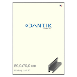 DANTIK rámeček 50x70 | ALU profil 6030 Ocelová (Plexi Čiré)