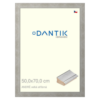 DANTIK rámeček 50x70 | ANDRÉ velká stříbrná (Plexi Čiré)