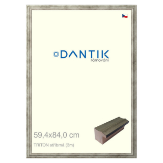 DANTIK rámeček 59,4x84 | TRITON stříbrná (Plexi Čiré)
