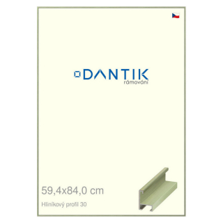 DANTIK rámeček 59,4x84 | ALU profil 6030 Dýha barevná zelená pastel (Plexi Čiré)