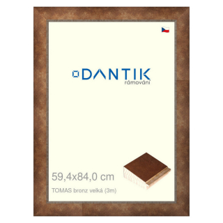 DANTIK rámeček 59,4x84 | TOMAS bronz velká (Plexi Čiré)