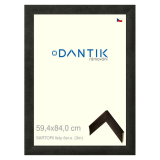 DANTIK rámeček 59,4x84 | SARTORI listy čer.s. (Plexi Čiré)