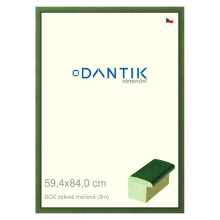 DANTIK rámeček 59,4x84 | BOXzelená mořená (Plexi Čiré)