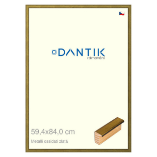 DANTIK rámeček 59,4x84 | Metalli oidati zlatá (Plexi Čiré)