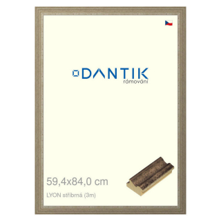 DANTIK rámeček 59,4x84 | LYON stříbrná (Plexi Čiré)