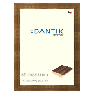 DANTIK rámeček 59,4x84 | TRITON široký zlatý (Plexi Čiré)
