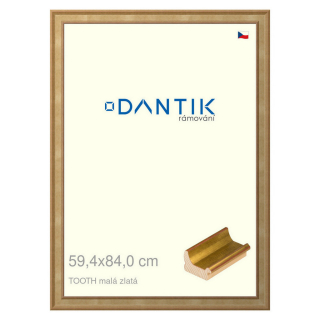 DANTIK rámeček 59,4x84 | TOOTH malá zlatá (Plexi Čiré)