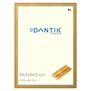 DANTIK rámeček 59,4x84 | LYON zlatá (Plexi Čiré)