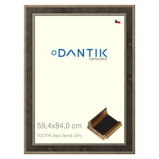DANTIK rámeček 59,4x84 | TOOTH zlato černá (Plexi Čiré)